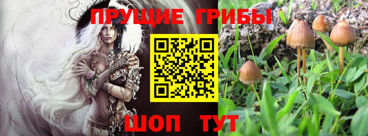 Сыктывкар  Псилоцибиновые грибы MAGIC MUSHROOMS  Вход с VPN  Галлюциногенные грибы GOLDEN TEACHER 